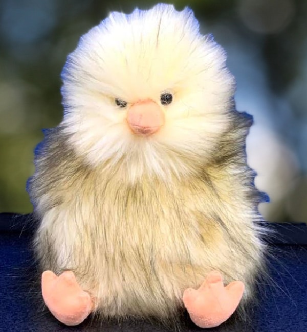 Winnie Chick